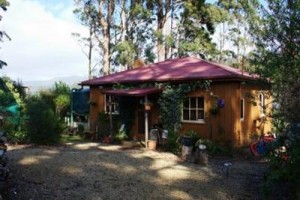 A Classic Cottage at Port Arthur Image