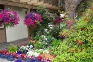 Adobe Inn Carmel By the Sea Image