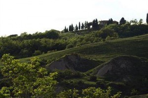 Agriturismo Casa Baccano Sarteano Image