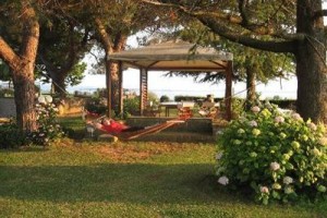 Agriturismo Le Vigne Bolsena Image