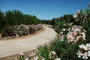 Agriturismo Rocce Bianche voted 7th best hotel in Arbus