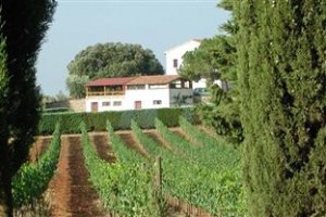 Agriturismo Tesorino Image