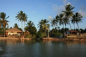 Agua De Coco Image