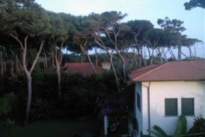 Alcione Image