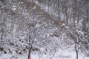 Allure Hotel Hakuba Image