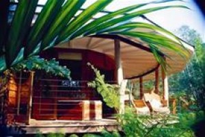 Amazing Wollumbin Palms Retreat Mount Warning Image
