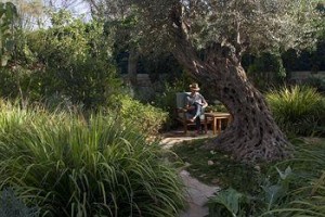 American Colony voted  best hotel in Jerusalem