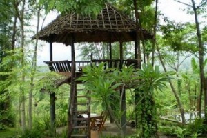 Amy's Earth House Image