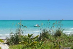 Andros Beach Club Image