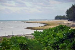 Andros Lighthouse Yacht Club and Marina Image