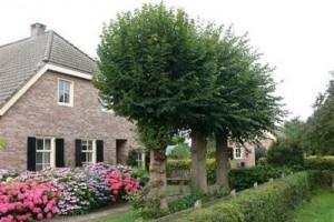 Annapart Bed & Breakfast Image