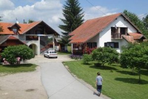 Aparments Ilija voted  best hotel in Seliste