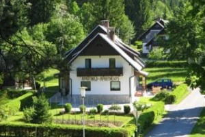 Apartments Alp Bohinj Image