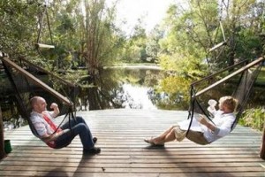 The Arts Factory Backpackers Lodge Image