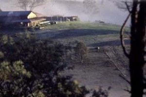 Avalanche Homestead voted 6th best hotel in Queanbeyan