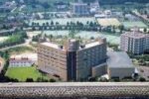 Awaji International Hotel The Sunplaza Image