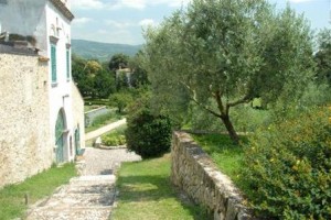 Azienda Agricola Villa Giona Image