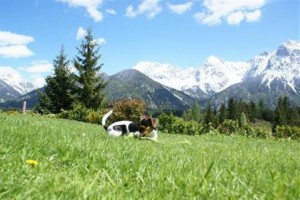 Backeralm voted 6th best hotel in Mittenwald