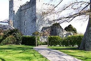 Barberstown Castle voted  best hotel in Straffan