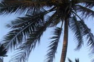 Barefoot Beach Pad voted 3rd best hotel in Cabarete