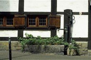 Baumhove Am Markt Image