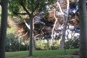 B&B Il Parco dei Pini Image