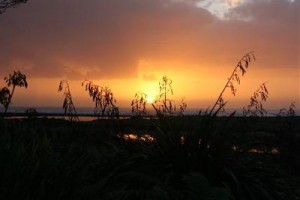 Beach Hideaway Hotel Punakaiki Image