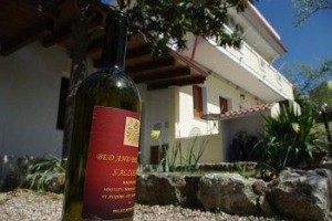 Bed & Breakfast S'Alzolitta Image