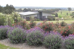 Beltana Villas Image