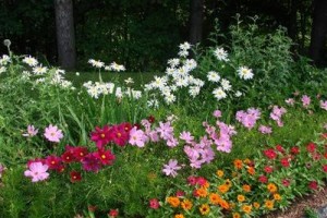 Berkshire Hills Motel Image