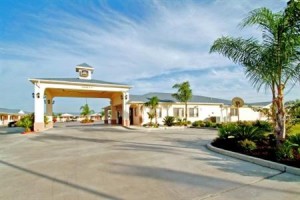 Best Western Garden Inn Falfurrias Image