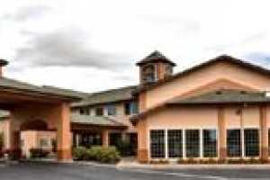 BEST WESTERN Dallas Inn and Suites Image