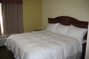 Best Western Tumbler Ridge Inn & Suites Image