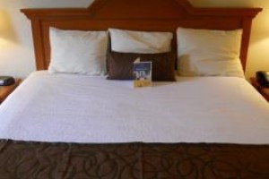 BEST WESTERN Windsor Inn & Suites voted 5th best hotel in Danville 