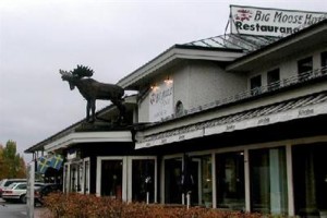 Big Moose Hotel voted  best hotel in Asarna
