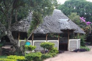 Big Time Safari Camp Image