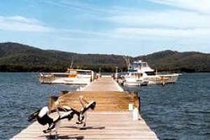 Big4 Karuah Jetty Image