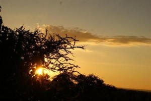 Bilila Lodge Serengeti Image