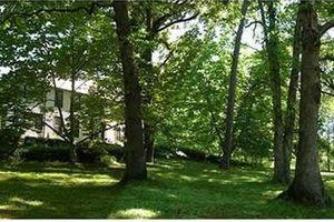 Black Mountain Inn Image