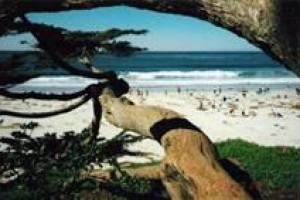 Blue Door Cabin Carmel By the Sea Image