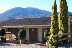 Bogong Moth Motel Image