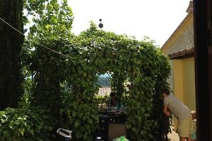 Borgo Le Cinischie Image
