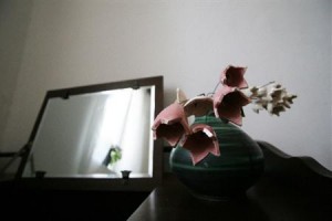 Bringakert Vendeghaz Guesthouse - Balaton Image