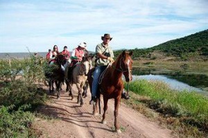 Buffelsdrift Game Lodge Image