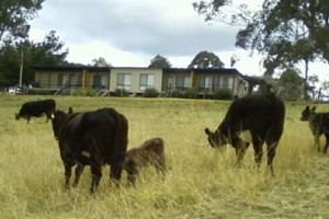 Bumblebrook Farm Motel voted  best hotel in Candelo