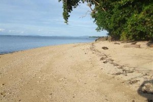 Bunaken Cha Cha Nature Resort Image