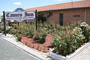 Cameo Inn Motel Image