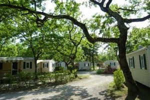 Camping du Leman Saint Disdille Image