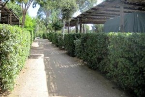 Camping Tavolara Image
