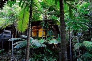 Cape Tribulation Resort & Spa voted 2nd best hotel in Cape Tribulation